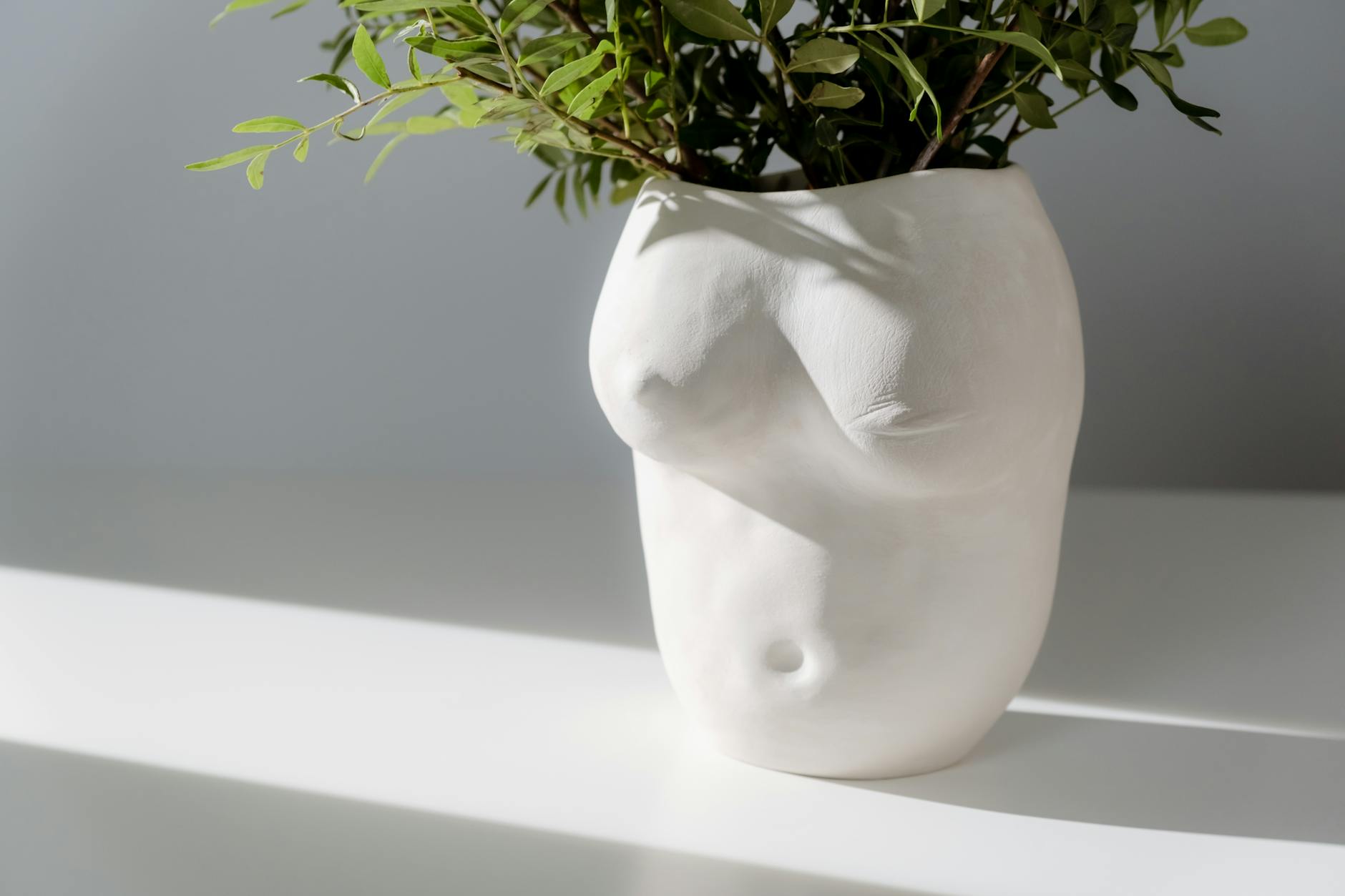 close up shot of plants in a white vase